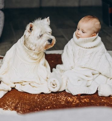 Mascotas y un bebé recién nacido